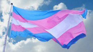 Celebrating Transgender Day of Visibility 2025