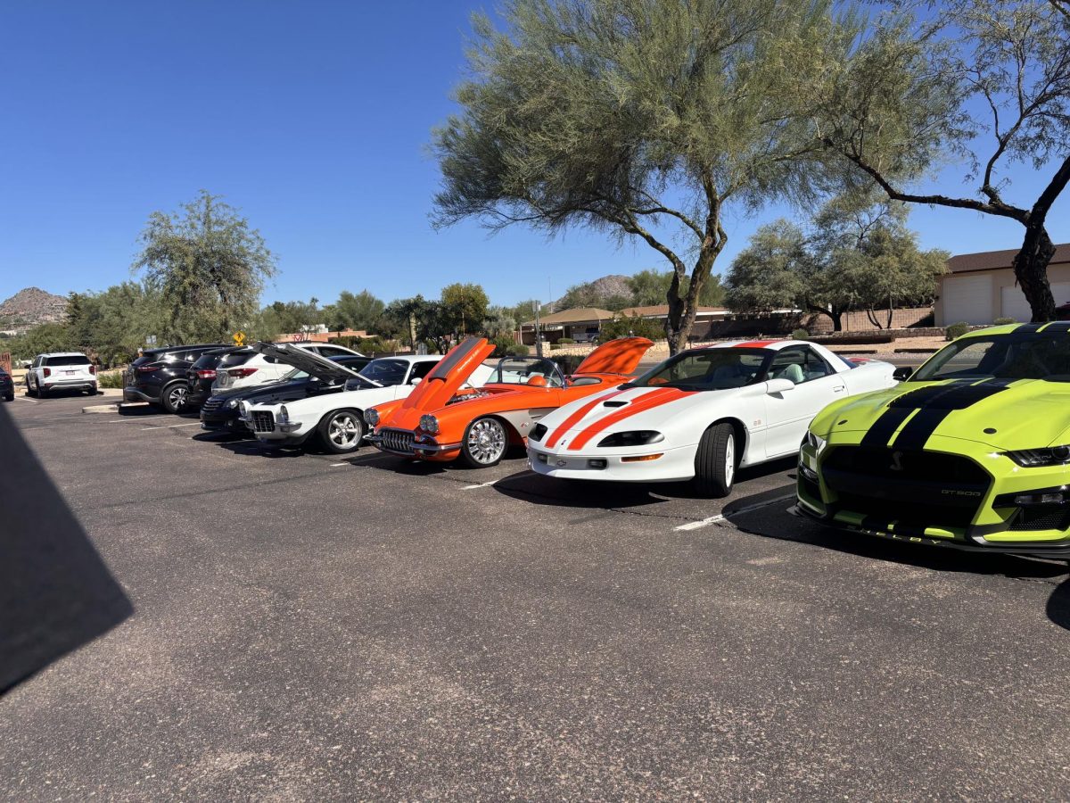 The "Muscle Monday" Car Collection